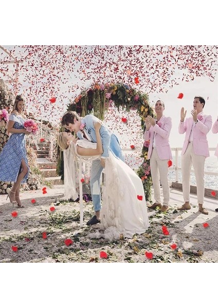 Açık Mor 100 Adet 100/500/1000 Adet Yapay Ipek Gül Yaprakları Simülasyon Düğün Çiçek Petal Sevgililer Günü Düğün Çiçek Dekorasyonu Için 50% (Yurt Dışından)