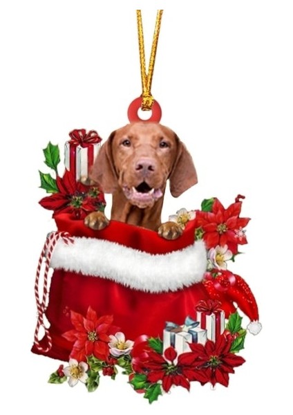 Ll 43 Tür Köpekler Damla Süs Yeni Yıl 2023 Noel Kolye Noel Ağacı Köpek Kolye Şenlikli Parti Malzemeleri Odası Dekorasyon # A (Yurt Dışından)