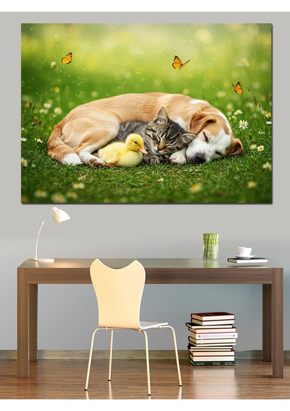 Çimlerde Uyuyan Köpek Dekoratif Kanvas - Mdf Ahşap Tablo