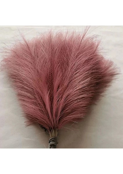 Q-10PCS 10 Adet Yapay Pampas Çim Buket Ev Düğün Dekorasyon Parti Odası Dekor Yatak Odası Dıy Çiçek Duvar Vazo Sahte Bitki Kamış Hediye (Yurt Dışından) fırsatları