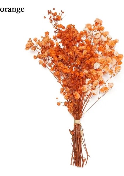 Turuncu Mini Babysbreath Doğal Taze Kurutulmuş Korunmuş Çiçekler Küçük Doğal Kurutulmuş Çiçekler Buket Basın Dekoratif Fotoğraf Arka Fonu Dekor (Yurt Dışından)