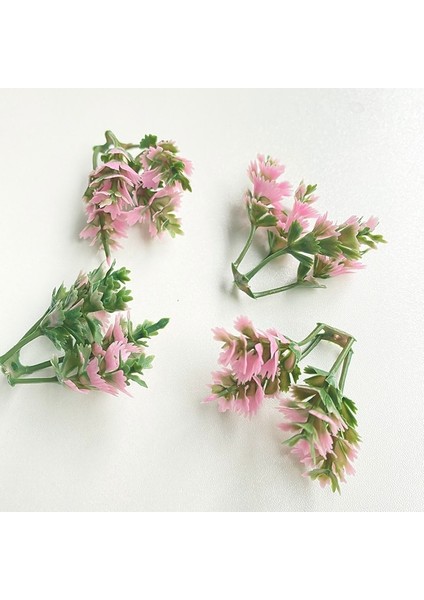 Pembe 100G Mini Çekirdek Ercik Diy Bonsai Dekoratif Aksesuarları Saksı Dolum Dekor Yapay Bitkiler Dıy Çelenk El Yapımı El Sanatları (Yurt Dışından)