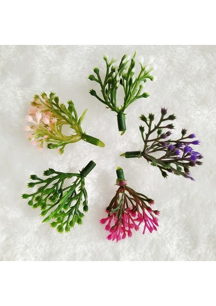 Pembe 100G Mini Çekirdek Ercik Diy Bonsai Dekoratif Aksesuarları Saksı Dolum Dekor Yapay Bitkiler Dıy Çelenk El Yapımı El Sanatları (Yurt Dışından) indirimleri