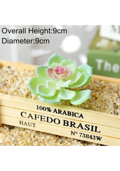x iaoshuilian Hongxin 5x8 cm Yeşil Pembe Akın Sahte Bitkiler Yapay Etli Bitkiler Çiçek Aranjmanı Aksesuarları Ev Bahçe Düğün Dekorasyon (Yurt Dışından)