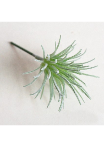 x iaoshuilian Hongxin 5x8 cm Yeşil Pembe Akın Sahte Bitkiler Yapay Etli Bitkiler Çiçek Aranjmanı Aksesuarları Ev Bahçe Düğün Dekorasyon (Yurt Dışından)
