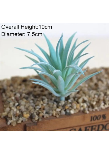 Mini Ling Jiao Cao Mavi Akın Yapay Succulents Bitkiler Çiçek Aranjmanı Aksesuarları Masaüstü Bonsai Ev Bahçe Dekorasyon Sahte Bitkiler (Yurt Dışından)