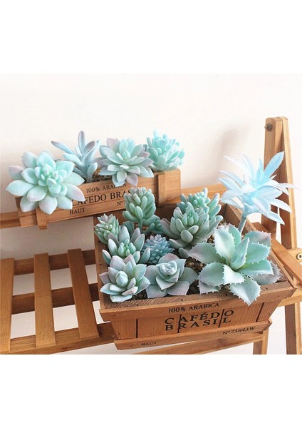 Mini Ling Jiao Cao Mavi Akın Yapay Succulents Bitkiler Çiçek Aranjmanı Aksesuarları Masaüstü Bonsai Ev Bahçe Dekorasyon Sahte Bitkiler (Yurt Dışından)