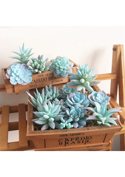 Mini Ling Jiao Cao Mavi Akın Yapay Succulents Bitkiler Çiçek Aranjmanı Aksesuarları Masaüstü Bonsai Ev Bahçe Dekorasyon Sahte Bitkiler (Yurt Dışından)