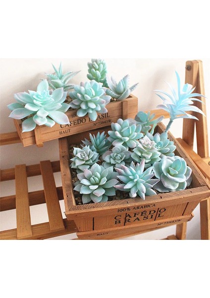 Mini Ling Jiao Cao Mavi Akın Yapay Succulents Bitkiler Çiçek Aranjmanı Aksesuarları Masaüstü Bonsai Ev Bahçe Dekorasyon Sahte Bitkiler (Yurt Dışından)