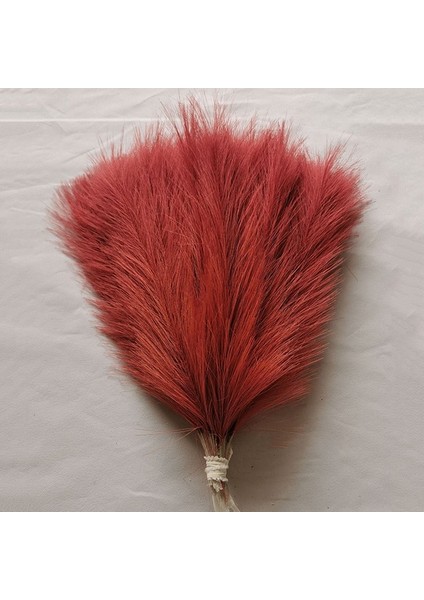 Şarap Kırmızısı 30 Adet 10/30 Adet Kabarık Pampas Çim Yapay Çiçekler Dekorasyon Düğün Için Boho Buket Parti Ev Vazo Dekor Sahte Bitki Kamış Çiçek (Yurt Dışından)