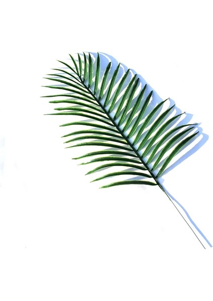 Karpuz Yaprağı Yapay Monstera Bitkiler Plastik Tropikal Palmiye Ağacı Yaprakları Ev Bahçe Dekorasyon Aksesuarları Fotoğrafçılık Dekoratif Yapraklar (Yurt Dışından) indirimleri