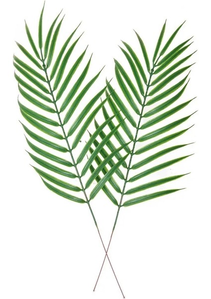 Stil 4 Palm Yapay Yeşil Bitkiler Plastik Yapraklar Sahte Bitkiler Ev Düğün Oturma Odası Balkon Masa Dekorasyonu Için Dağınık Yeşillik (Yurt Dışından) modelleri