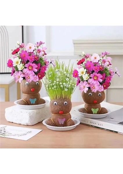 Destekleyici Tepsi Ev Dekor Mini Çim Kafa Bebek Küçük Saksı Bitki Sulama Yeşil Bitkiler Güzel Çocuk Hediyeler Kapalı Balkon Saksı Yetiştiricilerinin (Yurt Dışından) fırsatları