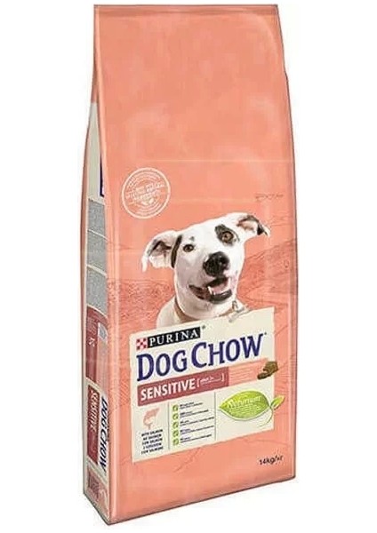 Dog Chow Somon Balıklı Yetişkin Köpek Maması 14 kg