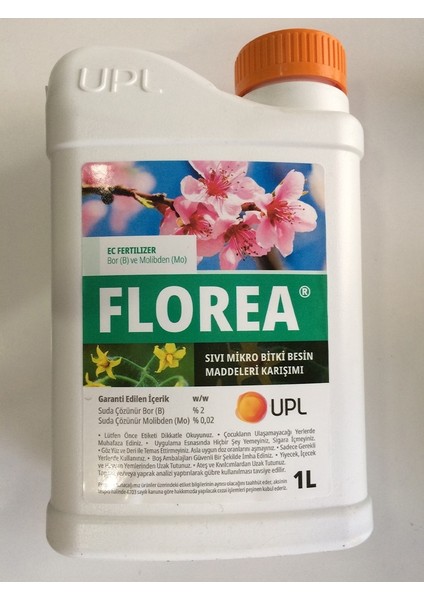 Florea