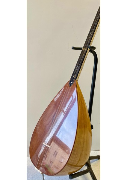 Profesyonel Uzun Sap Dut Bağlama