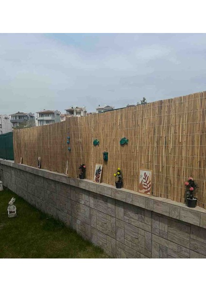 80 cm x 6 Metre Kamış Hasır Balkon Çiti Bambu Çit Bahçe Çiti Dekorasyon