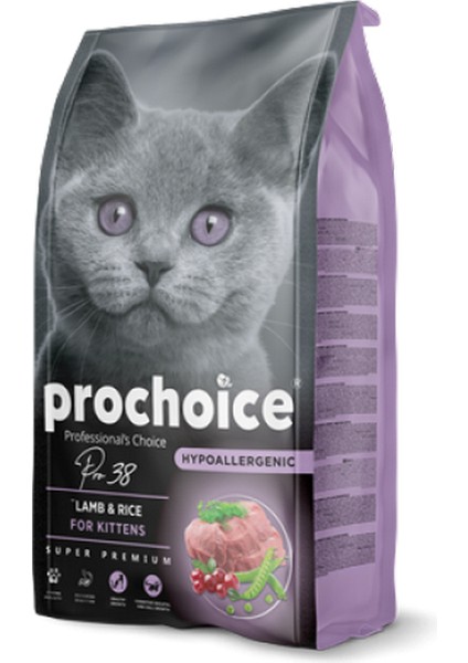 Prochoice 2 kg Yavru Kediler Için, Hipoalerjenik, Kuzu Etli ve Pirinçli Kuru Mama 11