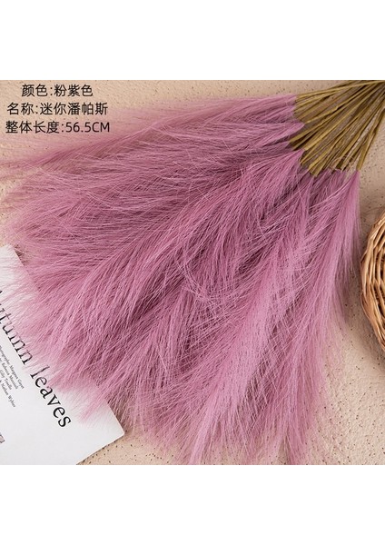 Pembemsi-Mor 1pc 1/5/10/20PCS 55 cm Mini Sahte Pampas Çim Yapay Görkemli Çim Vazo Dolgu Çiçek Ev Oturma Odası Mutfak Düğün Boho Dekor (Yurt Dışından)