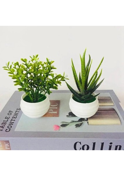 1 Adet Mini Yapay Aloe Bitkiler Bonsai Küçük Simüle Ağaç Saksı Bitkileri Sahte Çiçekler Ofis Masası Saksı Süsler Ev Bahçe Dekor (Yurt Dışından)
