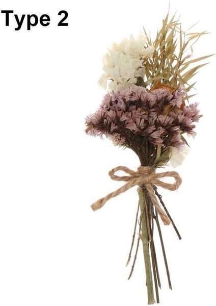 Tip 2 Mini Babysbreath Doğal Taze Kurutulmuş Korunmuş Çiçekler Küçük Doğal Kurutulmuş Çiçekler Buket Basın Dekoratif Fotoğraf Arka Fonu Dekor (Yurt Dışından)