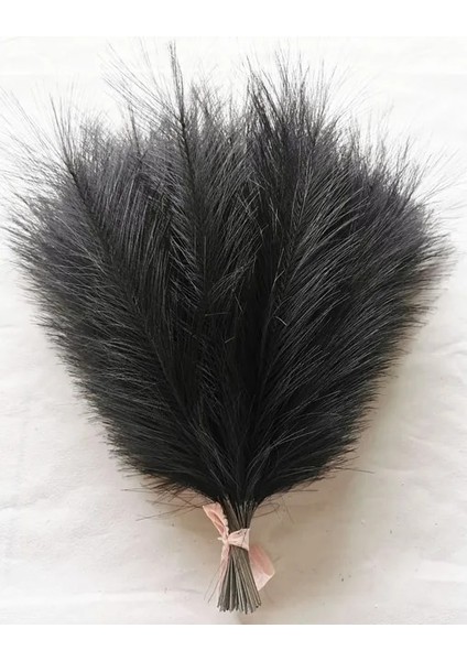 Siyah 42 cm 10 Adet Sahte Pampas Çim Bej 10 Adet, Vazo Için Küçük Yapay Pompas Çim Dekor, Ev Düğün Boho Dekor Için Sahte Kabarık Pampas Çiçek (Yurt Dışından)