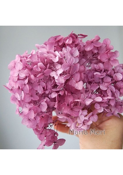 Degrade Renk 113 5g Degrade Renk Korunmuş Ortanca Ev Dekorasyon Düğün Dekorasyon Küçük Yaprak Anna Ortanca Epoksi El Yapımı Dıy Malzeme (Yurt Dışından)