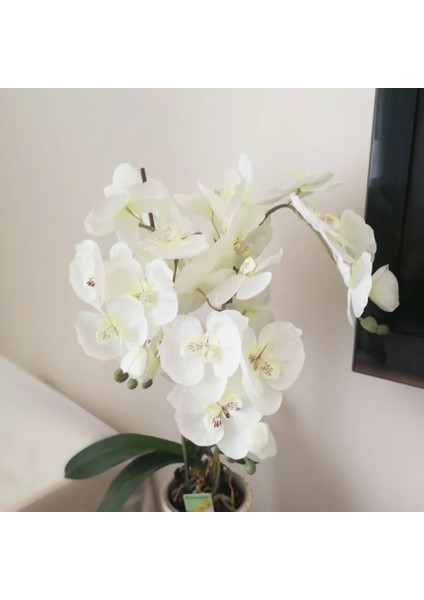 Pembe Yapay Ipek Beyaz Orkide Çiçekleri Kelebek Güve Phalaenopsis Sahte Çiçek Düğün Ev Festivali Dekorasyon Için (Yurt Dışından)