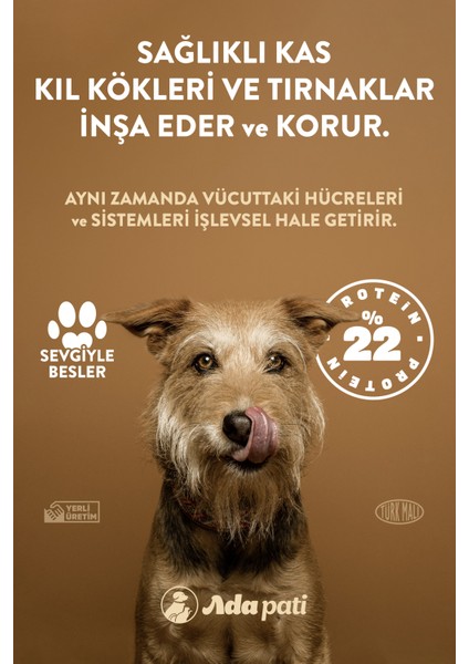Kuzu Etli Yetişkin Köpek Maması 350gr indirimleri