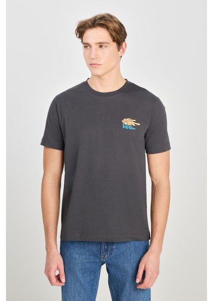 %100 Pamuk Regular Fit Normal Kesim Bisiklet Yaka Baskılı Antrasit Tişört