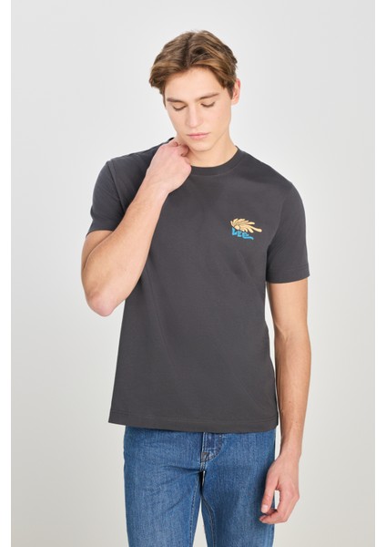 %100 Pamuk Regular Fit Normal Kesim Bisiklet Yaka Baskılı Antrasit Tişört fiyatları