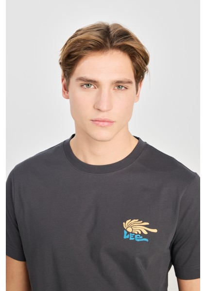 %100 Pamuk Regular Fit Normal Kesim Bisiklet Yaka Baskılı Antrasit Tişört modelleri