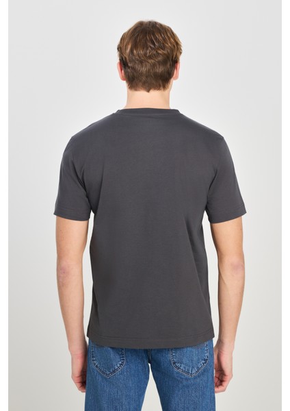 %100 Pamuk Regular Fit Normal Kesim Bisiklet Yaka Baskılı Antrasit Tişört indirimleri