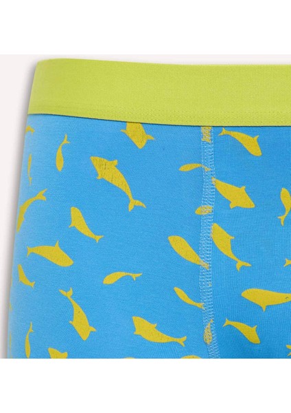 Regular Fit Hayvan Baskılı 3'lü Boxer W9686AZ25SM