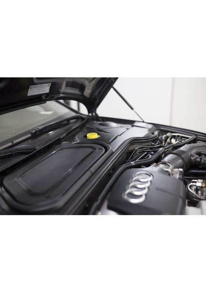 Interior Wow Limited Edition Plastik Vinil Koruyucu 1 Litre modelleri