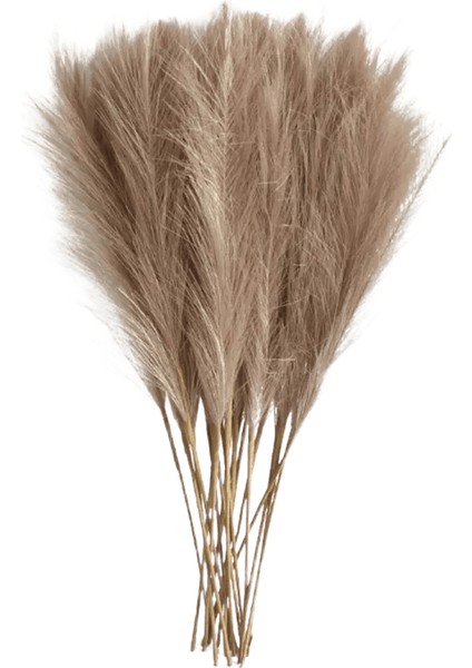 6 Adet Yapay Pampas Çim Dekor Çiçekler Dıy Çiçek Masa Düzenlemek Için Sahte Bitki Kamış Çiçek Düğün Ev Noel Dekorasyon Renk: Kahve / Boyut: 6 Adet Paket (Yurt Dışından)