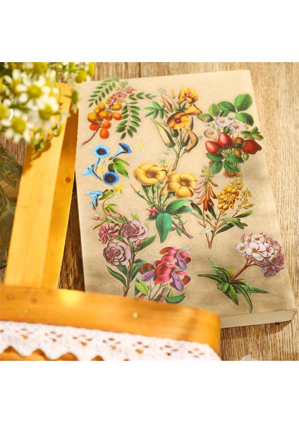 100 Adet Bitki Temalı, Günlük Tutmak Için Scrapbook Sticker Seti, Hurda Günlükler Için Ephemera Paketleri, Demir Saklama Kutusuyla (Yurt Dışından)