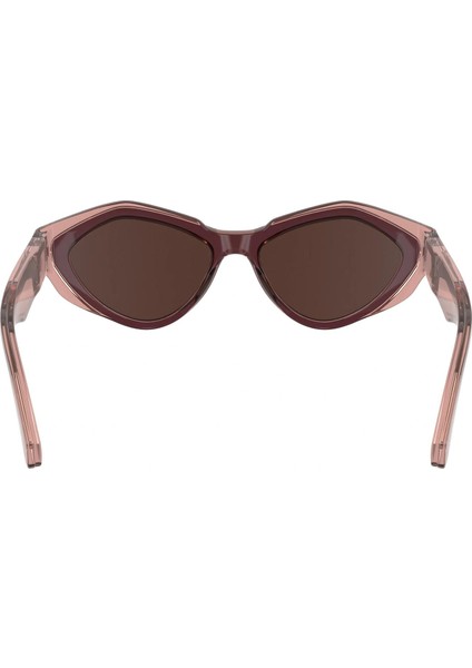 CKJ24621S 605 53 Kadın Güneş Gözlüğü fırsatları