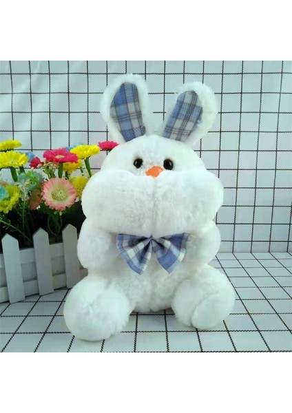 Sevimli Peluş Oyuncak Bez Bebek Doğum Günü Hediyesi Bebek 20-25CM (Yurt Dışından)