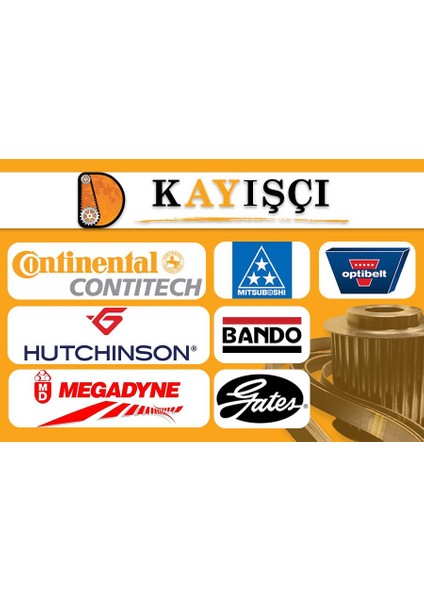 HTD5M 1000 Contitech 50 mm Kauçuk Zaman Kayış