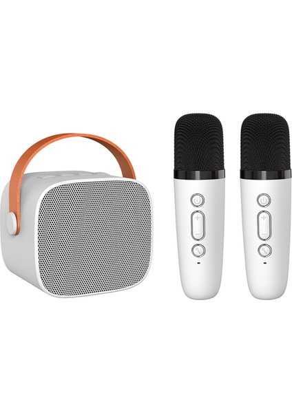 Mini Bluetooth Karaoke Hoparlör Kablosuz Mikrofonlu Ev Partisi (Yurt Dışından)