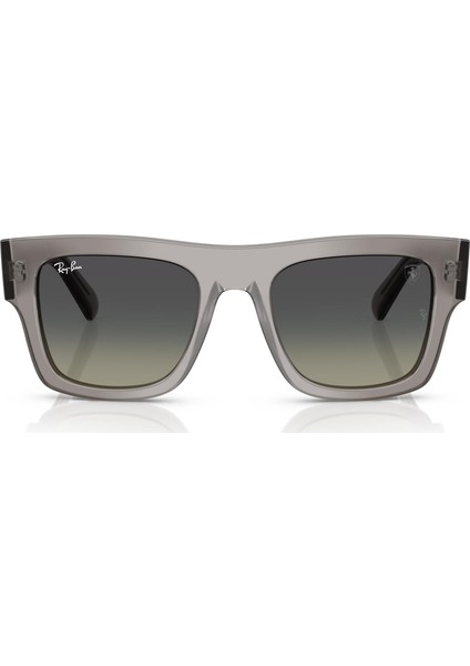 Güneş Gözlüğü RB2217M 53 F70411 fırsatları