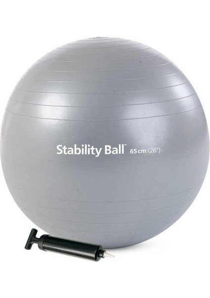 Health & Fitness Stability Ball™ - 65CM Withpump(Silver)Cn ST-06207