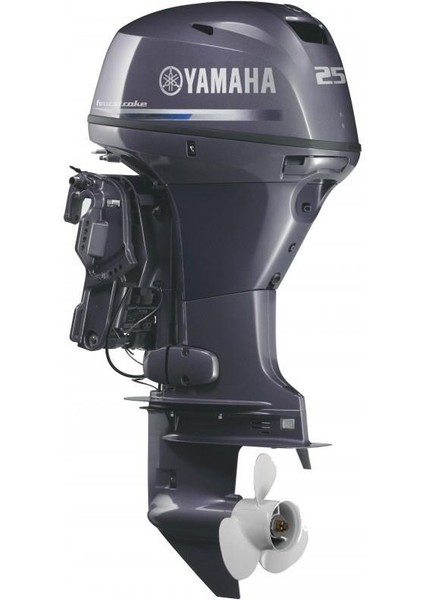 F25 DMHS Deniz Motoru