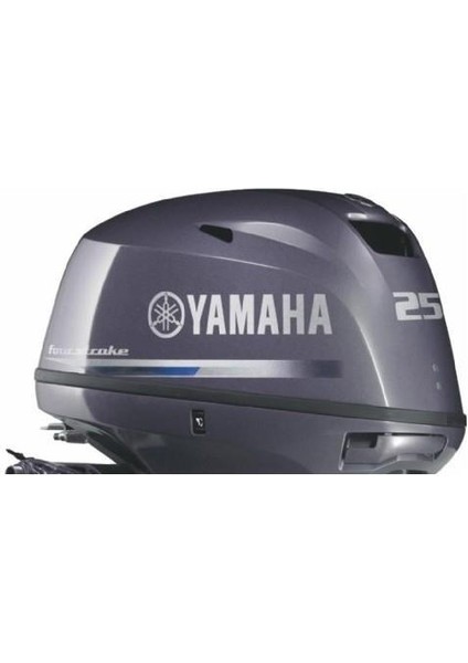 F25 DMHS Deniz Motoru