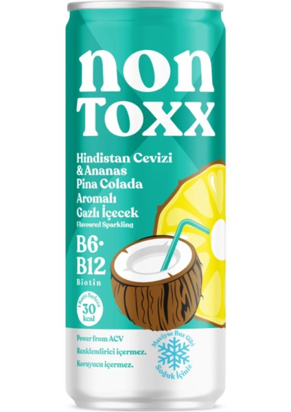 Hindistan Cevizi & Ananas Aromalı Sirkeli Gazlı Içecek 250 ml x 12 Adet (Koli)