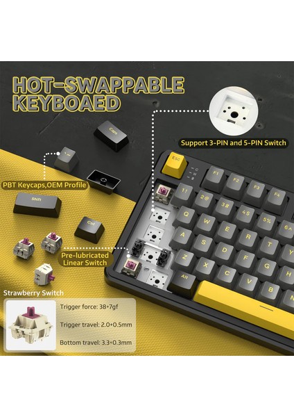 Attack Shark X87 Star Black Rgb App Uygulamalı Sberry Switch Trimode Profesyonel Gaming Oyuncu Klavye