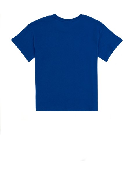 Erkek Çocuk Saks Tişört Basic 50306498-VR045 fiyatları