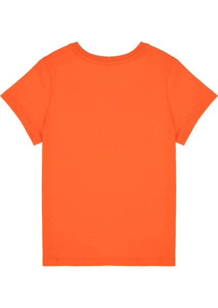 Erkek Çocuk Nar Çiçeği Tişört Basic 50306502-VR039 fiyatları