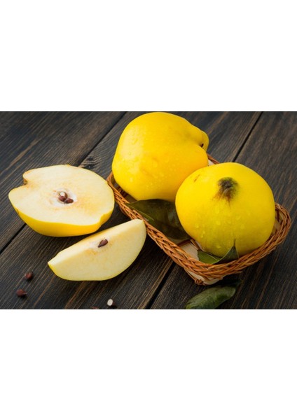 Tüplü Limon Ayvası Fidanı